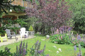 Chalet à Font Romeu - vue exterieur